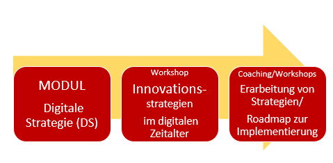 Modul Digitale Strategie